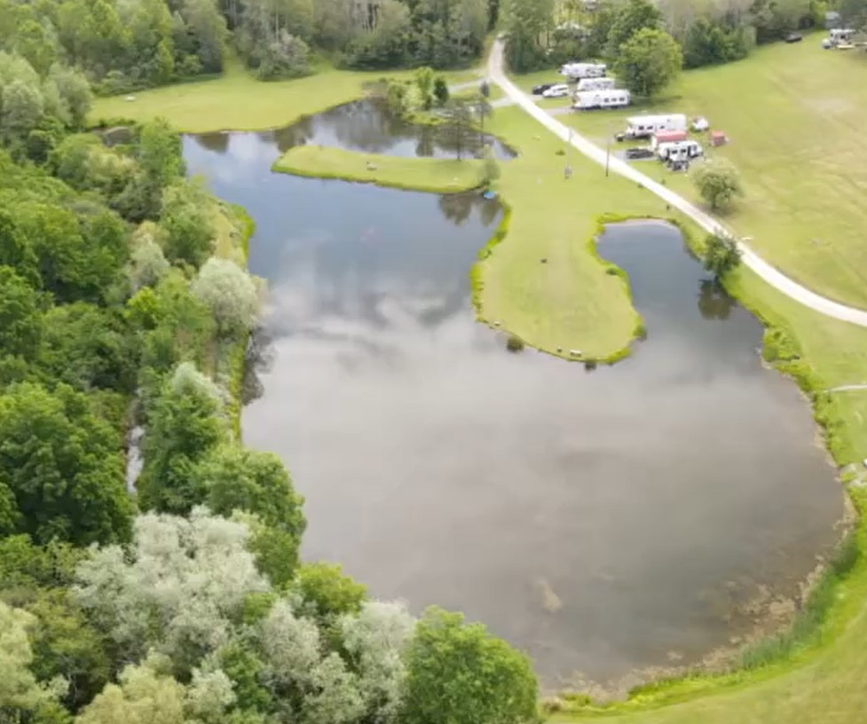 Picture of the Pond